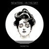 In the Sky (Original Mix) - Newtone