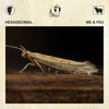 Me & You - Hexadecimal