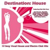 I Like It (Rhythm Rockerz Remix) - Disko Junkie