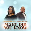 Mary Did You Know (feat. James Bolton) - Shanie Dee&James Bolton