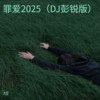 罪爱2025 (DJ彭锐版) - 大麦