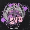 SVD (feat. Richi) (Explicit) - SeeMo&Richi