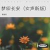 梦回长安（女声新版） - 曹越红