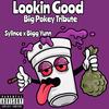 Lookin Good (feat. Bigg Yunn & Big Pokey) (Explicit) - Sylince&Bigg Yunn&Big Pokey