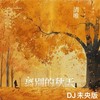 离别的秋天 (DJ未央版伴奏) - 清唯