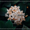 Stayin' da Club (Original Mix) - Nari&Steve Tosi