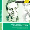 I. Introduzione: Andante non troppo - Stuttgart Radio Symphony Orchestra&Lorin Maazel