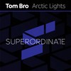 Arctic Lights - Tom Bro