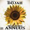 Helianthus Annuus (Explicit) - Dojah