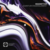 Quantum Entanglement - Magnettor