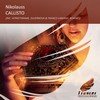 Callisto (Original Mix) - Nikolauss