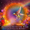 Humming with the Wind (Light Language ReVibe) - Shaman's Dream&Geometrae&Light Language&Amaruka Sol