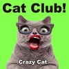 Cat Club! - Crazy Cat