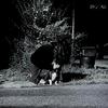 veins (Explicit) - gabe.ext