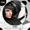 Sentymenty - Sarsa