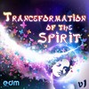 Ship of Mind (Original Mix) - Mental Flow