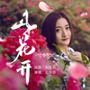 山花开 - 云菲菲