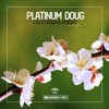 So Damn Hot (Original Mix) - Platinum Doug