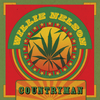 I'm A Worried Man (Album Version) - Willie Nelson&Toots Hibbert