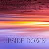 Upside Down - NIEMAN