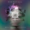 Perpetual - ANTDUAN&Echomen