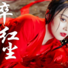 诺言 (其他) - 胡伦勇