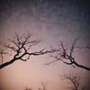 多年以后 (伤感版) - DJ阿域