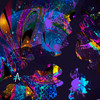 Tabula Rasa (Advanced Suite Remix) - globular&Advanced Suite