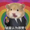 frog(超绝老鼠舞) - DJ老刘