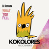 What You Feel (Radio Edit) - D.Rossini