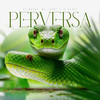 Perversa - DJ Moana&Mc Jhony&Lú Beatz