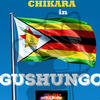 Gushungo (feat. Chikara) - Sunshinefamily studios&Chikara