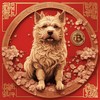 商店 - Studio Pro Sound