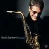 Little Flower - David Sanborn