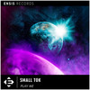 Play Me (Original Mix) - Small ToK