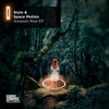Amazon (Original Mix) - Space Motion&Stylo