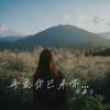再爱你已来不及 - 陈嘉宇