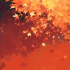枫叶圆舞曲 - CMJ