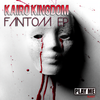 Fantom Flash (Original Mix) - Kairo Kingdom