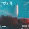 太聪明 (总以为谜一般难懂的我) - 酸奶盖儿