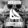 Tarantula (GeRisZ Remix) - Peat Jones