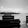 Once In a Lifetime - Pat D&Lady Paradox&Efeks&Eva Lazarus