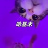 哈基米bgm - Dsll