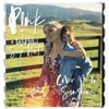 Cover Me In Sunshine - P!NK&Willow Sage Hart