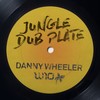 Jungle Dub Plate - Danny Wheeler