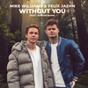 Without You - Mike Williams&Felix Jaehn&Jordan Shaw