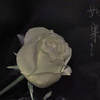如果爱下去 (甜蜜女声版) - 林儿
