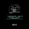 Indestructible - Nico Marks