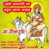 Maa Shailputri - Pawan Pilania