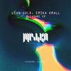 Pleasure (Radio Edit) - Lian Gold&Erika Krall